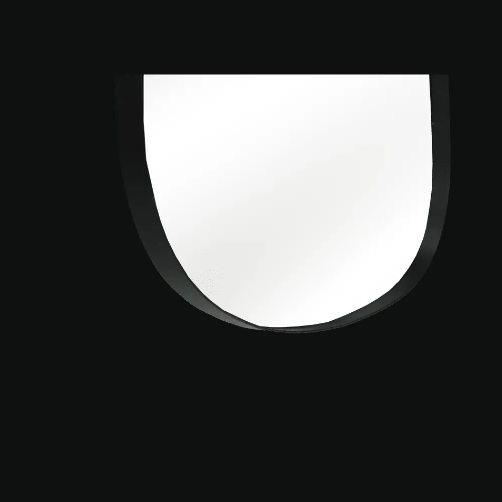 Pomax Miroirs-CODOL - miroir - métal - L 56 x W 3 x H 66 cm