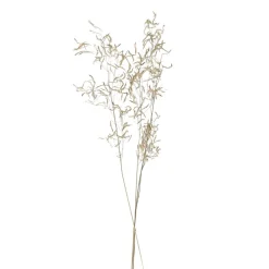 Pomax Fleurs-COLLITA - fleurs séchées - munni grass natural - H 70 cm - naturel