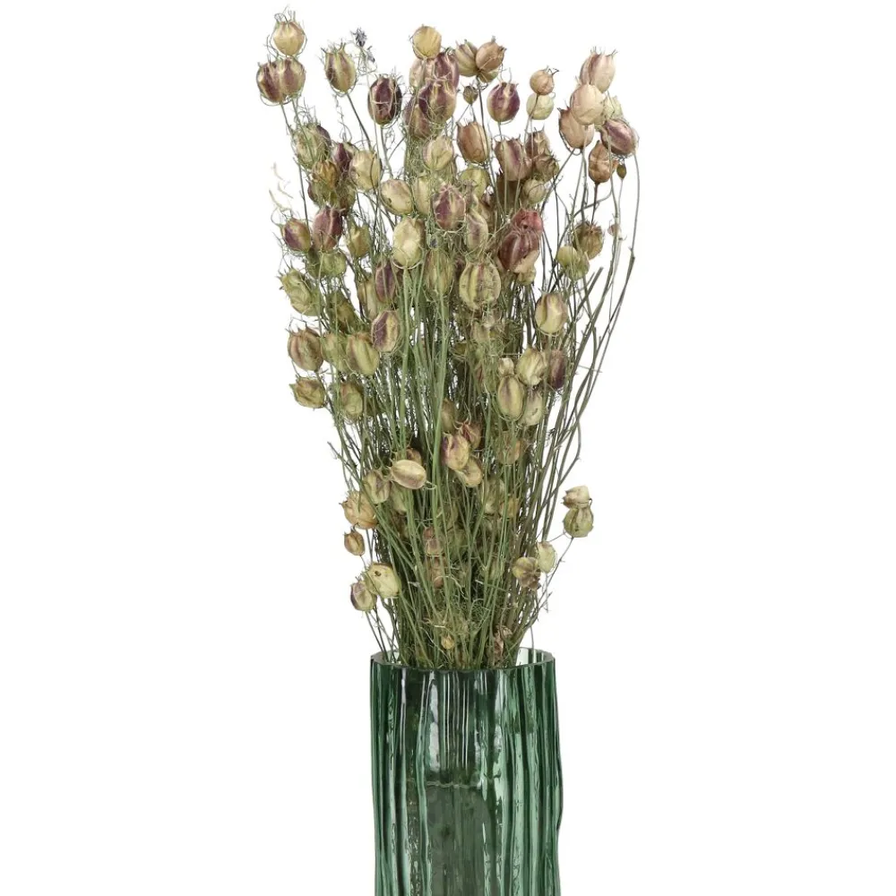 Pomax Fleurs-COLLITA - fleurs séchées - nigella natural - H 62 cm - vert