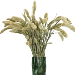 Pomax Fleurs-COLLITA - fleurs séchées - setarea natural - H 70 cm - vert