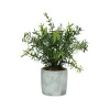 Pomax Plantes-CONCRETE JUNGLE - plante artificielle - synthétique / ciment - DIA 11 x H 23.5 cm - vert