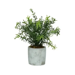 Pomax Plantes-CONCRETE JUNGLE - plante artificielle - synthétique / ciment - DIA 11 x H 23.5 cm - vert