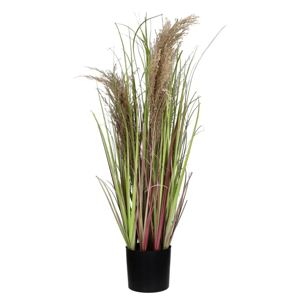 Pomax Plantes-GRASS - herbe artificielle - synthétique - DIA 11 x H 78 cm - naturel