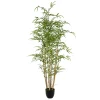Pomax Plantes-JUNGLE FEVER - plante artificielle en pot - synthétique - H 155 cm - vert