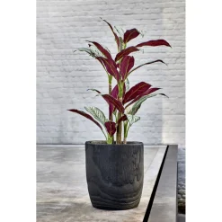 Pomax Plantes-JUNGLE FEVER - plante artificielle en pot - synthétique - H 100 cm - vert