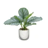 Pomax Plantes-MARMURA - plante artificielle en pot - synthétique / ciment - DIA 12 x H 22,5 cm - vert