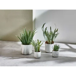 Pomax Plantes-MARMURA - plante artificielle - synthétique / ciment - DIA 12 x H 35 cm - vert