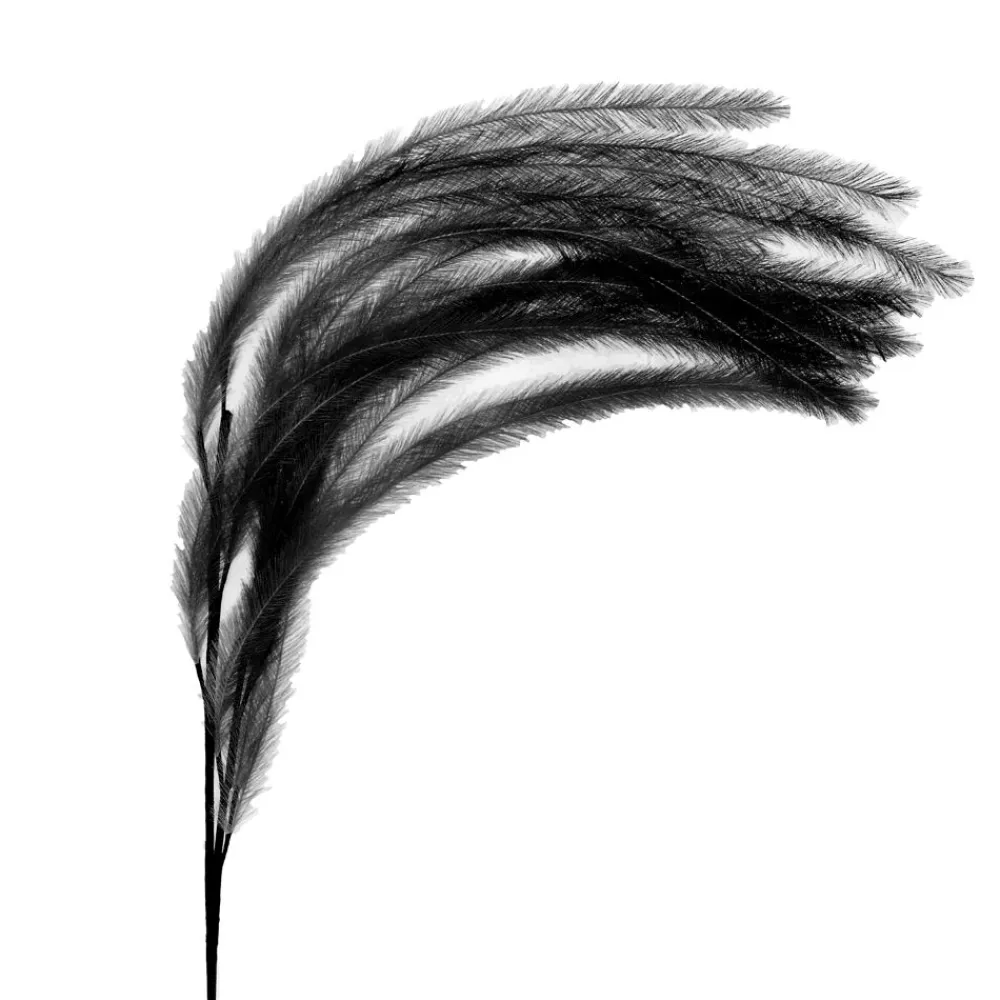 Pomax Fleurs-PLUM'O - plume artificielle - synthétique / métal - H 106 cm - noir