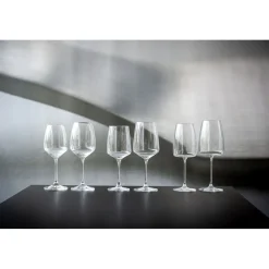 Pomax Verres-SAUVIGNON - verre à vin blanc - verre cristallin - DIA 8 x H 21,5 cm