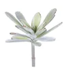 Pomax Plantes-SUCCULENT - plante artificielle - synthétique / métal - H 20 cm - vert