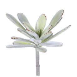 Pomax Plantes-SUCCULENT - plante artificielle - synthétique / métal - H 20 cm - vert