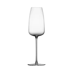 Pomax Verres-SYRAH - flûte à champagne - verre cristallin - DIA 25 x H 7 cm