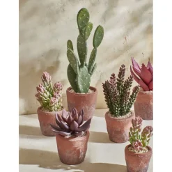 Pomax Plantes-TERRACOTTA LOVE - plante artificielle en pot - synthétique / terracotta - DIA 12 x H 16,5 cm - figue